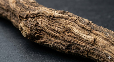 Tongkat Ali Extract