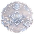 Choose Your Wellness Focus